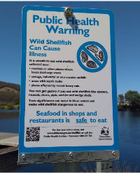 An image of the Public Shellfish Warning signs in Tasmania.