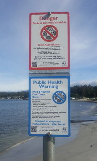 Images of the warnings signs for no eating wild shellfish in Tasmania.