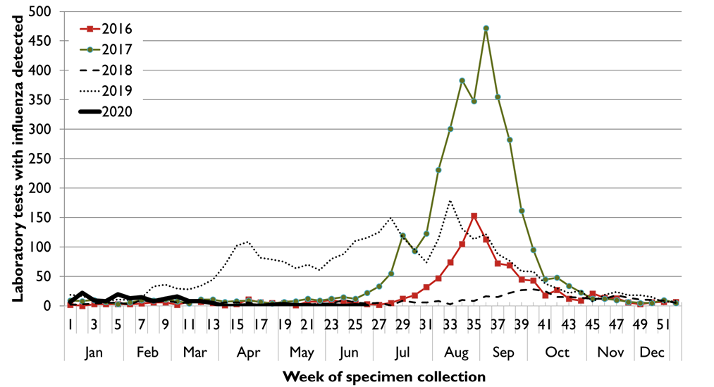 Figure 1: Notifications of influenza in Tasmania, by week, 1 January 2016 to Sunday 28 June 2020 (week 26).  Text description provided below.