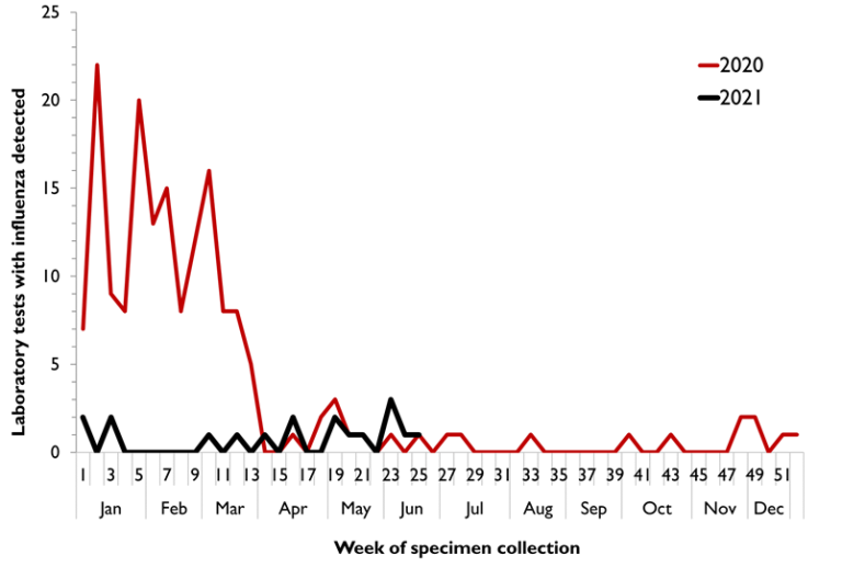 Figure 2. Notifications of influenza in Tasmania, by week, 1 January 2020 to 27 June 2021 (week 25).  Text description provided below.