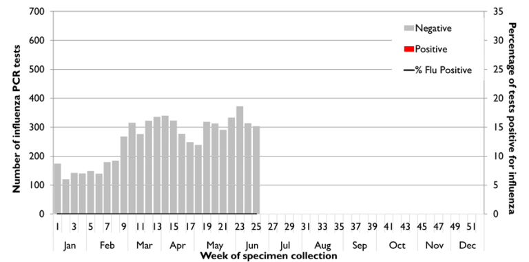 Figure 3. State-wide influenza PCR testing, 1 January to 27 June 2021 (week 25).  Text description provided below.