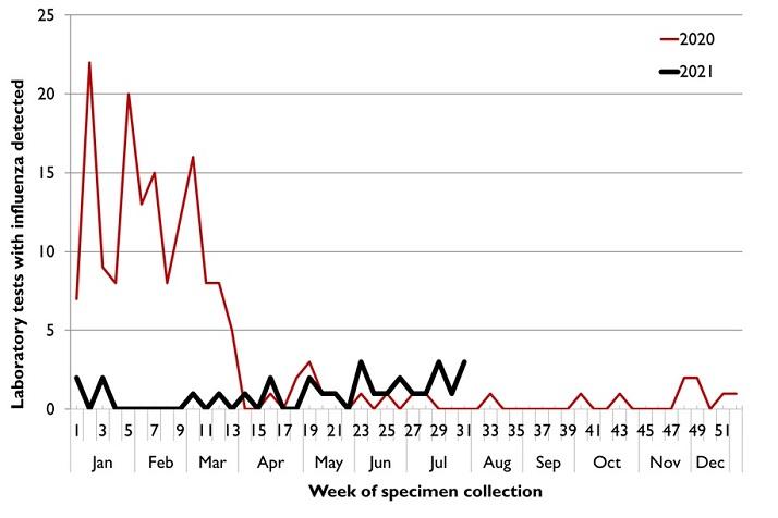 Figure 2. Notifications of influenza in Tasmania, by week, 1 January 2020 to 1 August 2021 (week 30).  Text description provided below.