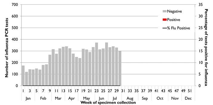 Figure 3. State-wide influenza PCR testing, 1 January to 1 August 2021 (week 30).  Text description provided below.