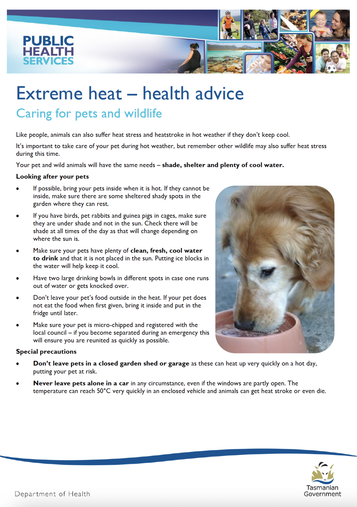 Caring for pets and wildlife during extreme heat | Tasmanian Department of  Health