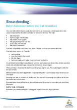 Thumbnail image of the information sheet outlining a baby's behaviour before their first breastfeed.