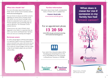 Thumbnail image of Breast Cancer Family History brochure