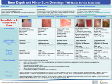 Thumbnail image of the Burn Depth Minor Burn Dressings sheet