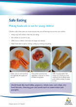 Thumbnail image of the safe eating fact sheet