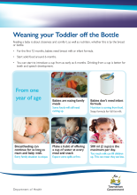 Thumbnail image of the Weaning your toddler off the bottle factsheet