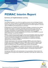 Premier’s Economic and Social Recovery Advisory Council (PESRAC) Interim Report thumbnail