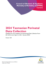 2024 Tasmanian Perinatal Collection Guidelines thumbnail