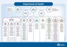 Thumbnail Department of Health Organisational Chart Nov 2023