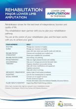 Thumbnail for rehabilitation major lower limb amputation brochure