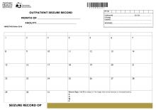 Thumbnail image of Outpatient seizure record template