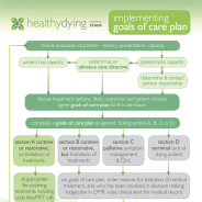 Thumbnail image of the goals of care plan flow chart.