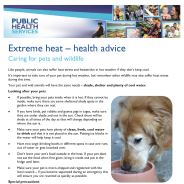 Thumbnail image of the Caring for pets and wildlife during extreme heat 