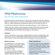 Thumbnail image of Do not eat wild mushrooms guide