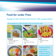 Thumbnail image for the food for under fives fact sheet
