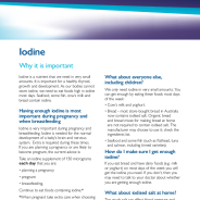 Thumbnail image of the iodine fact sheet