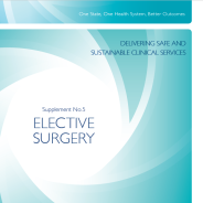 Thumbnail image of the OHS supplement 4 - Elective Surgery