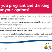 Thumbnail image of the Pregnancy options brochure