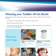 Thumbnail image of the Weaning your toddler off the bottle factsheet