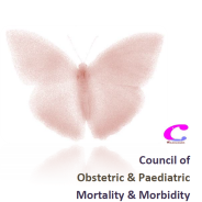 Thumbnail image for Council of Obstetric and Paediatric Mortality and Morbidity (COPMM) 2016 Annual Report