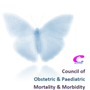 Thumbnail image for Council of Obstetric and Paediatric Mortality and Morbidity (COPMM) 2019 Annual Report