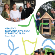Healthy Tasmania Five-Year Strategic Plan 2022-26 cover page thumbnail 