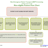 Thumbnail for NEPT non-eligible patient flow chart