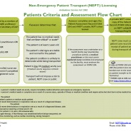 Thumbnail for NEPT Patient Criteria and Assessment Flow Chart