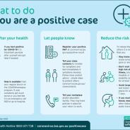 What to do if you test positive for COVID-19 infographic thumbnail